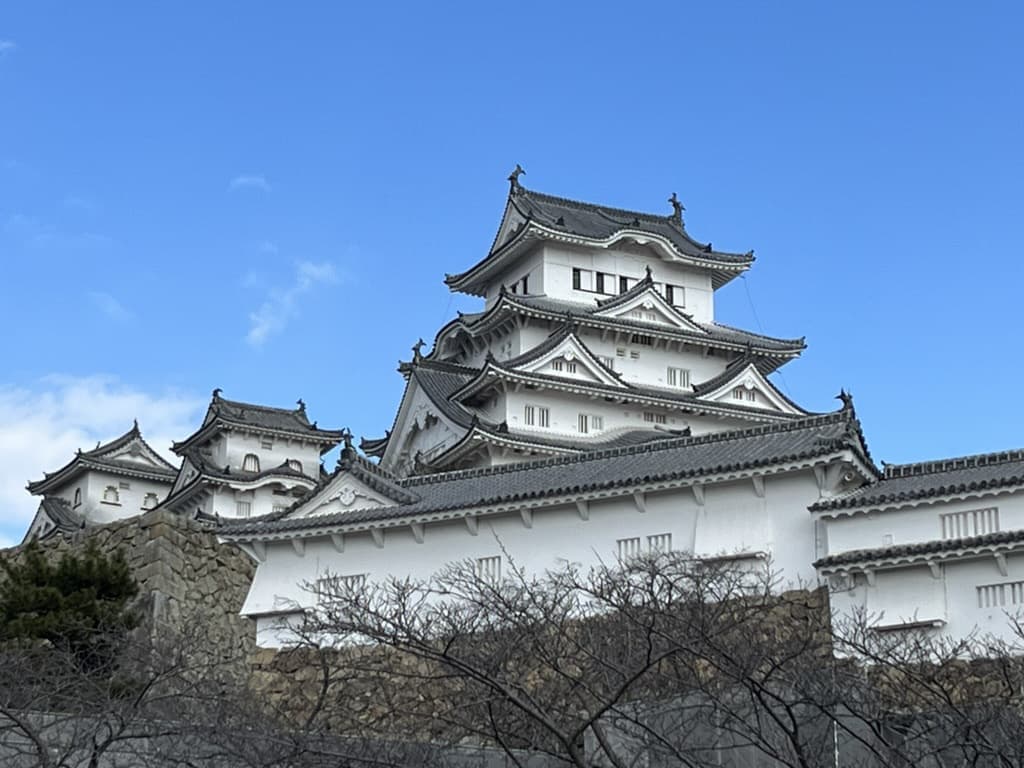 534b57d6-11ab-49e1-8330-2ff0a3200b5c_1_105_c.jpg